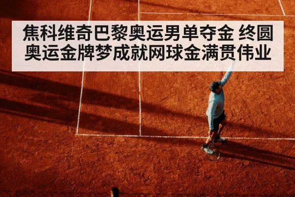 焦科维奇巴黎奥运男单夺金 终圆奥运金牌梦成就网球金满贯伟业